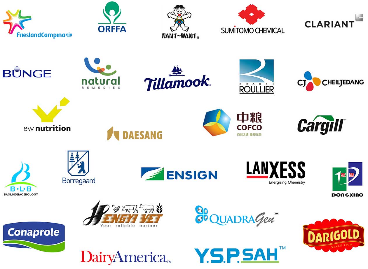 Camden Global Partners